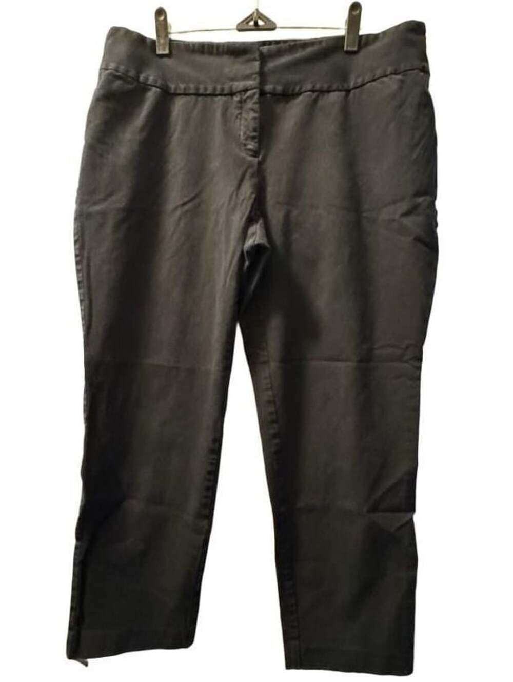 Alfani Women's Black Control Panel Ankle Pants Size 18W